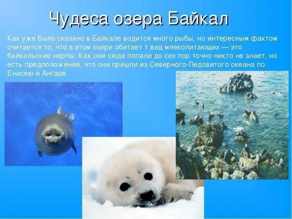 Озеро Байкал