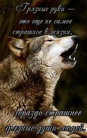 Грязные