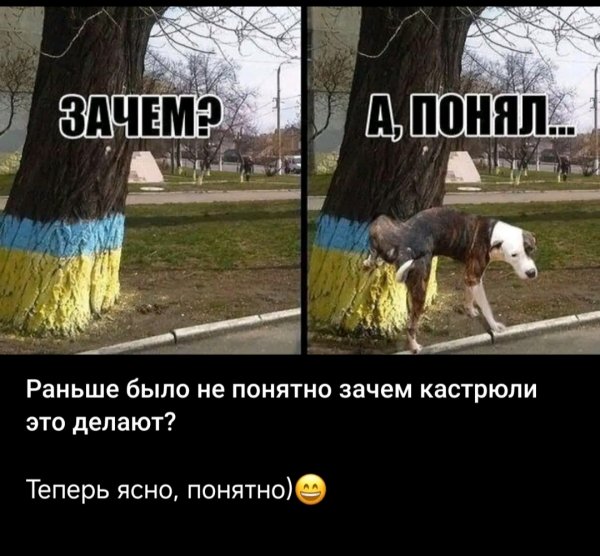 IMG 20260625 215548