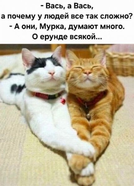 Люди сложные
