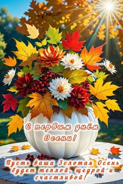 IMG 20260901 081508 036