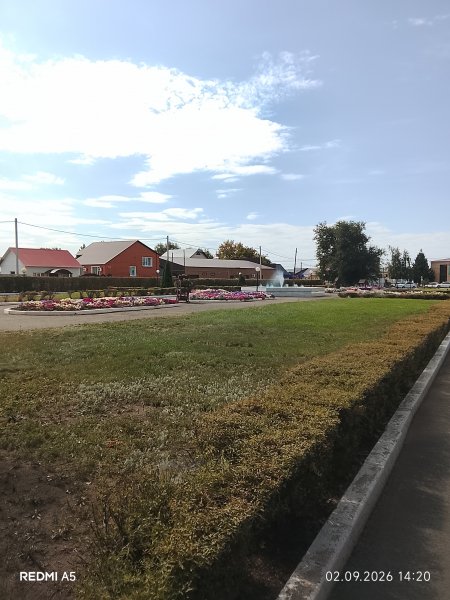 picture_419013304