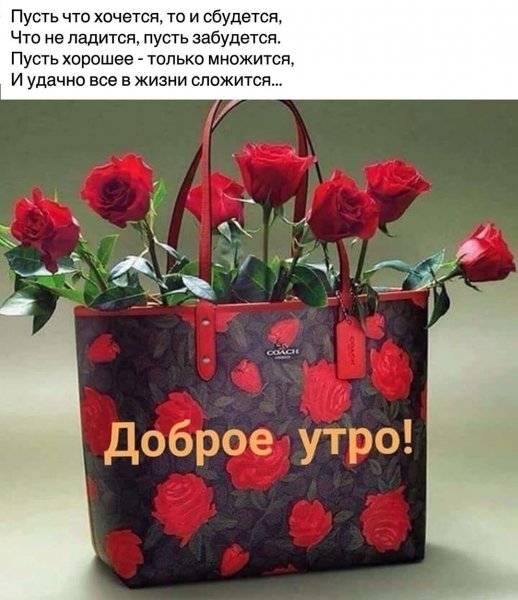 41f9bf6d9776489f004760eb8c009364