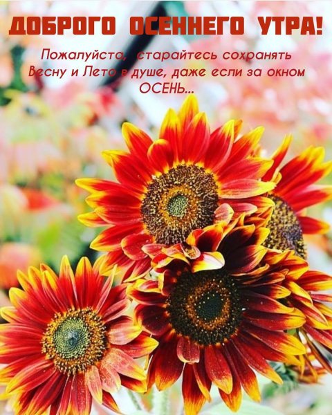 marinaalekminskaya 20201003 5
