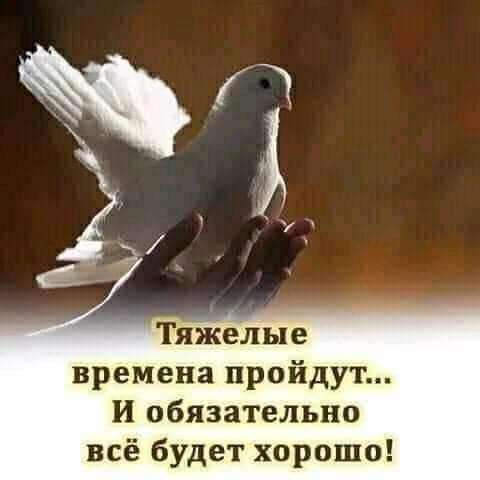 FB IMG 1611908448202