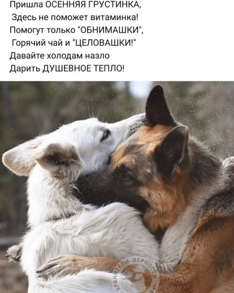 Конечно!