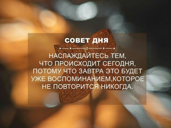 picture_289392466