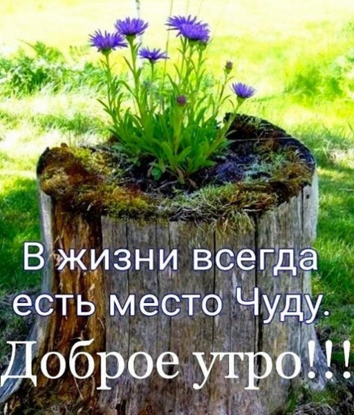 4eD8tNtCTNY