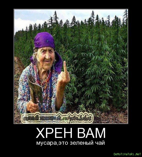 37c84614579a1e8d8c4d94fe75128b372u5h83 club