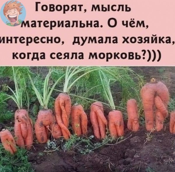 picture_419363553
