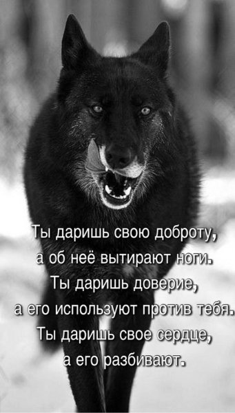 78Q1HadOdfY