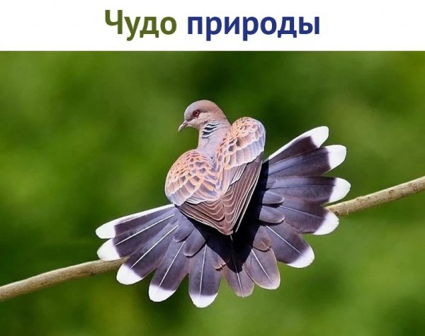 IMG 20180813 160440