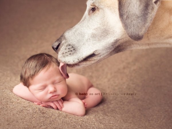 R3L8T8D-650-small-babies-childr