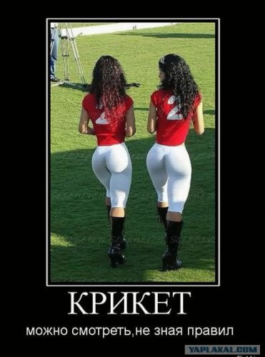 Крикет