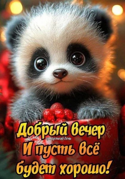 B1c9d21ac5333b666864ed5a1a81c729