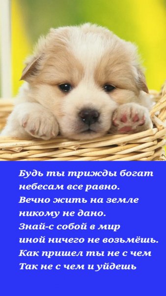 IMG 20260130 064723