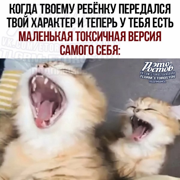 Токсичная версия