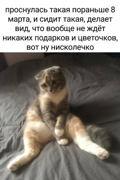 picture_383192317