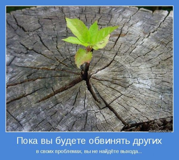 motivatori interesnie-23