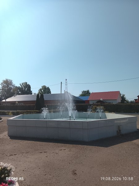picture_419013300