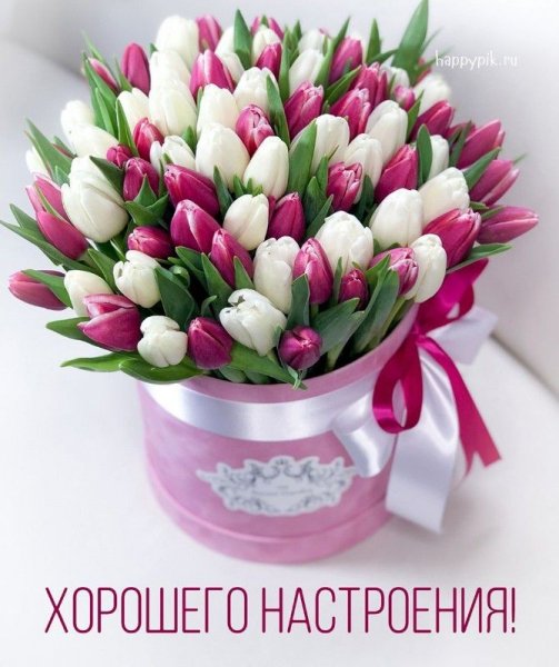 ec665cedc3b77a70bb65b8ea07593