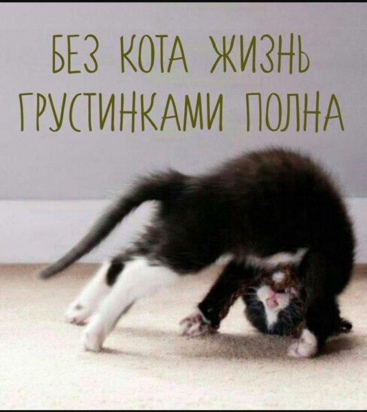 Грустинками полна