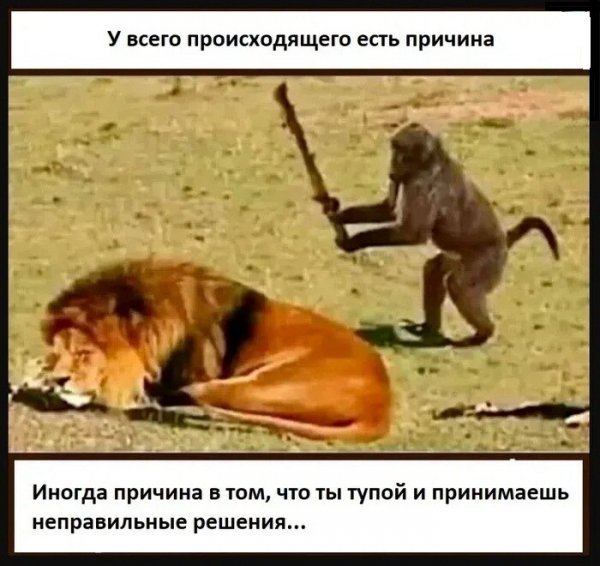 IMG 20260903 073310