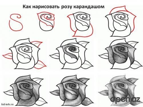 p.500.500.0