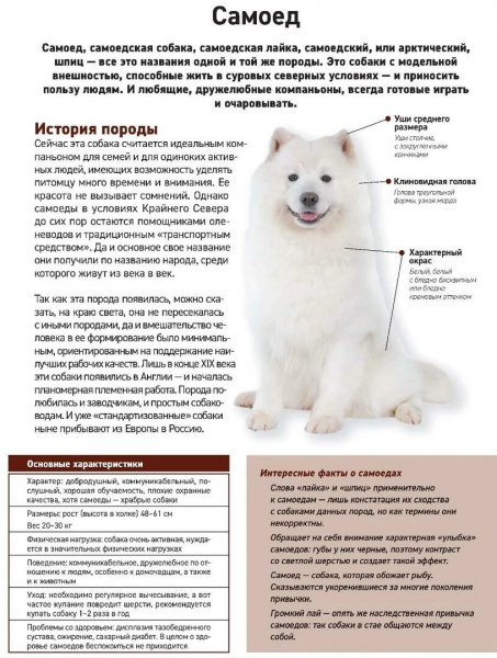 Самоед