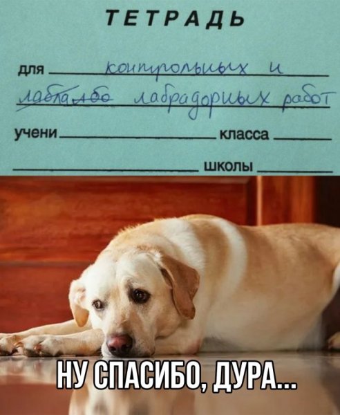 Interesnye-prikoly-s-nadpisjami-15