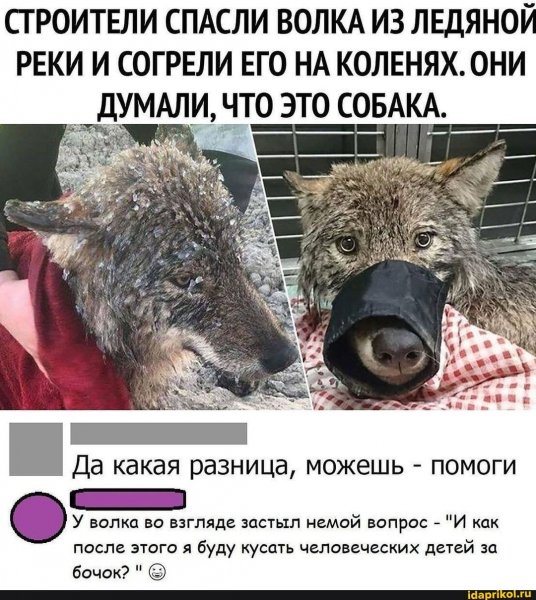 8dce06f1651a62fe2cc3391fa088c8728717e72ce722ddd504aabdd431346