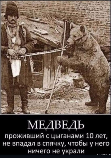 C3C19A775AB7FB