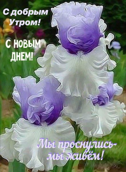 IMG-20210826-WA0000