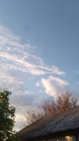 picture_413026001