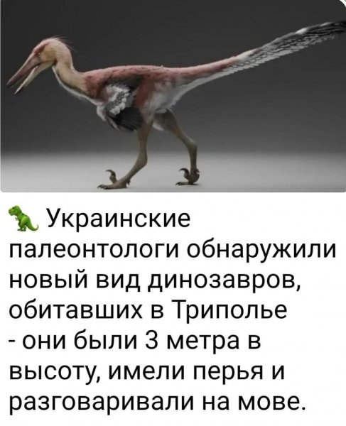 IMG 20260606 184927