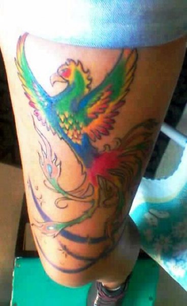 Tattoo (4697)