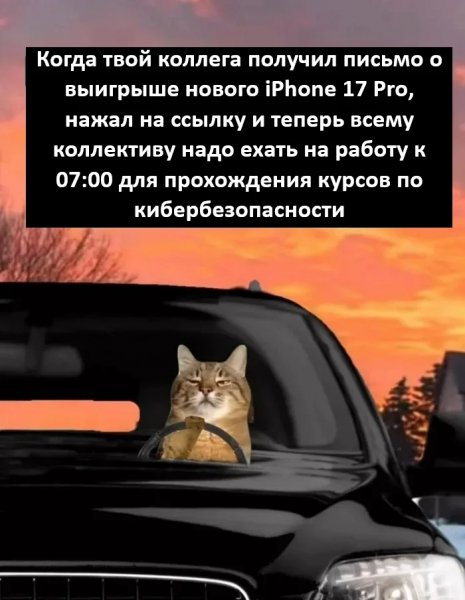 Победитель )
