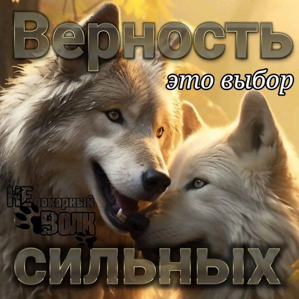IMG 20260114 050138
