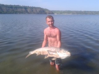 picture_98835142