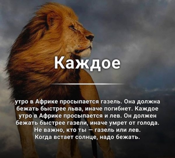 Борись всегда