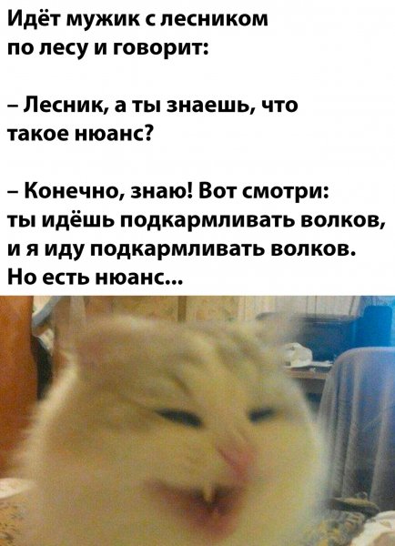Zu9RWXipYeM