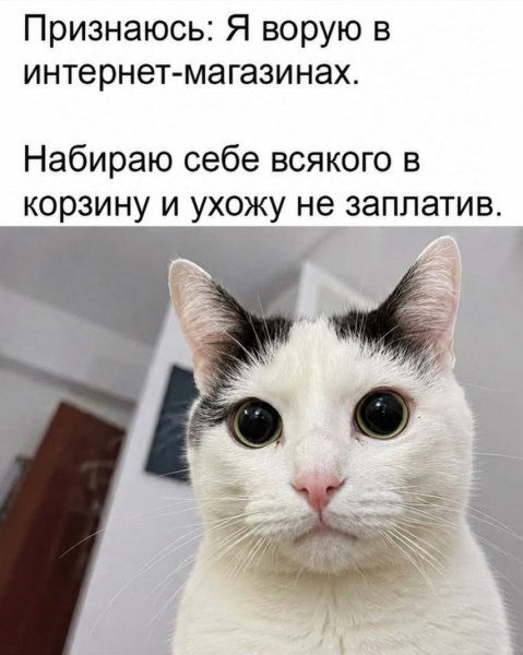 IMG 20260901 131712 121