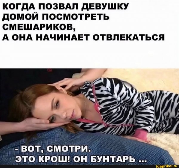 Смешарики