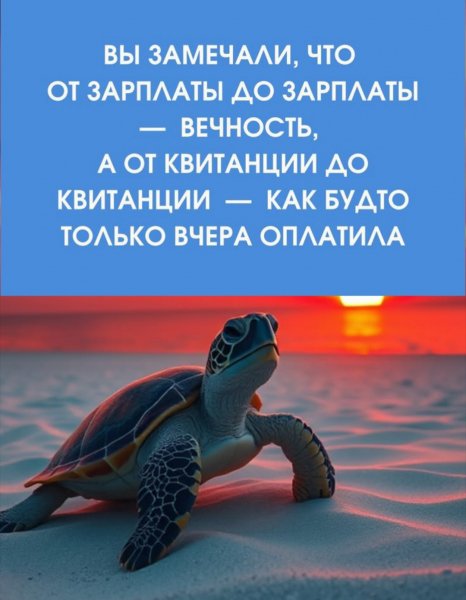 AzhrkLzmrHRgsRP35aAOajV05XrjSgCxiZ9xeqRt9aDgFEBBnRaMfNIdUXaX