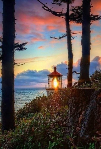FB IMG 1618690496221