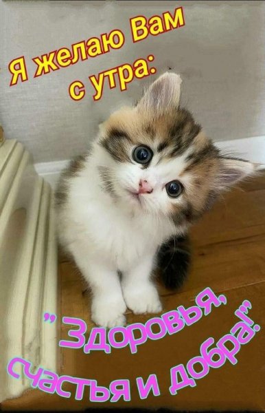 a8e9c7cc8ea054241dd876988c8f5