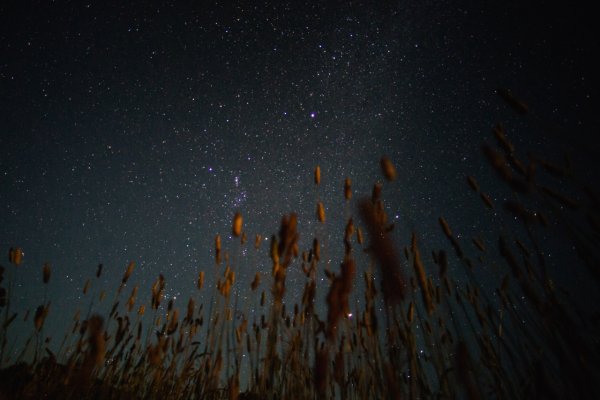 The night sky over Oyster Bay