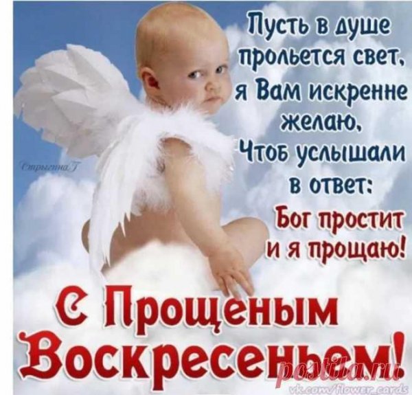 46b1a0b43043435ea297b00c433da6f0