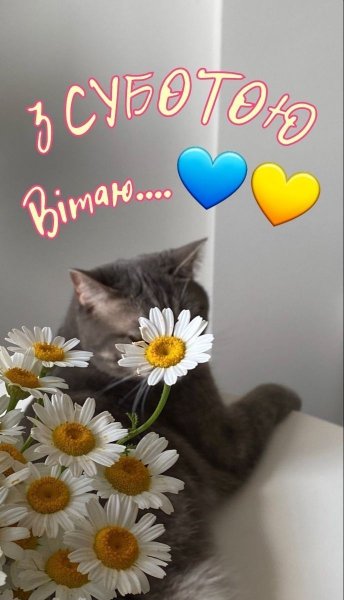 03-28