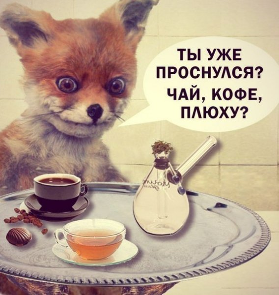 W8XeB9LH4KY
